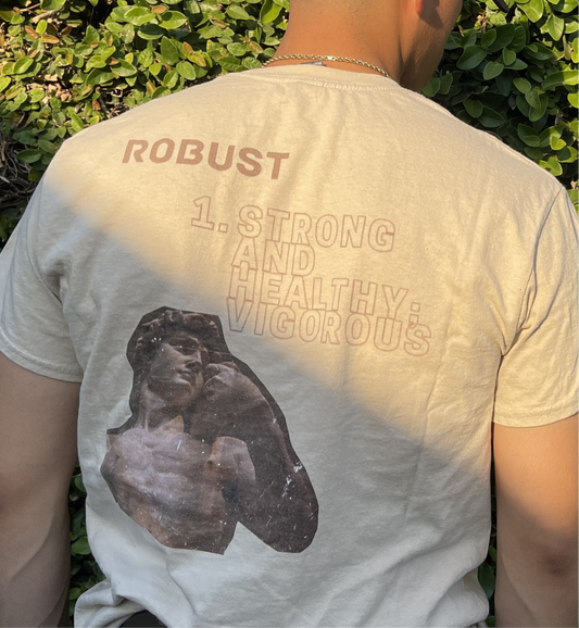 Robust Fitness Shirt- Strong, Healthy, Vigorous